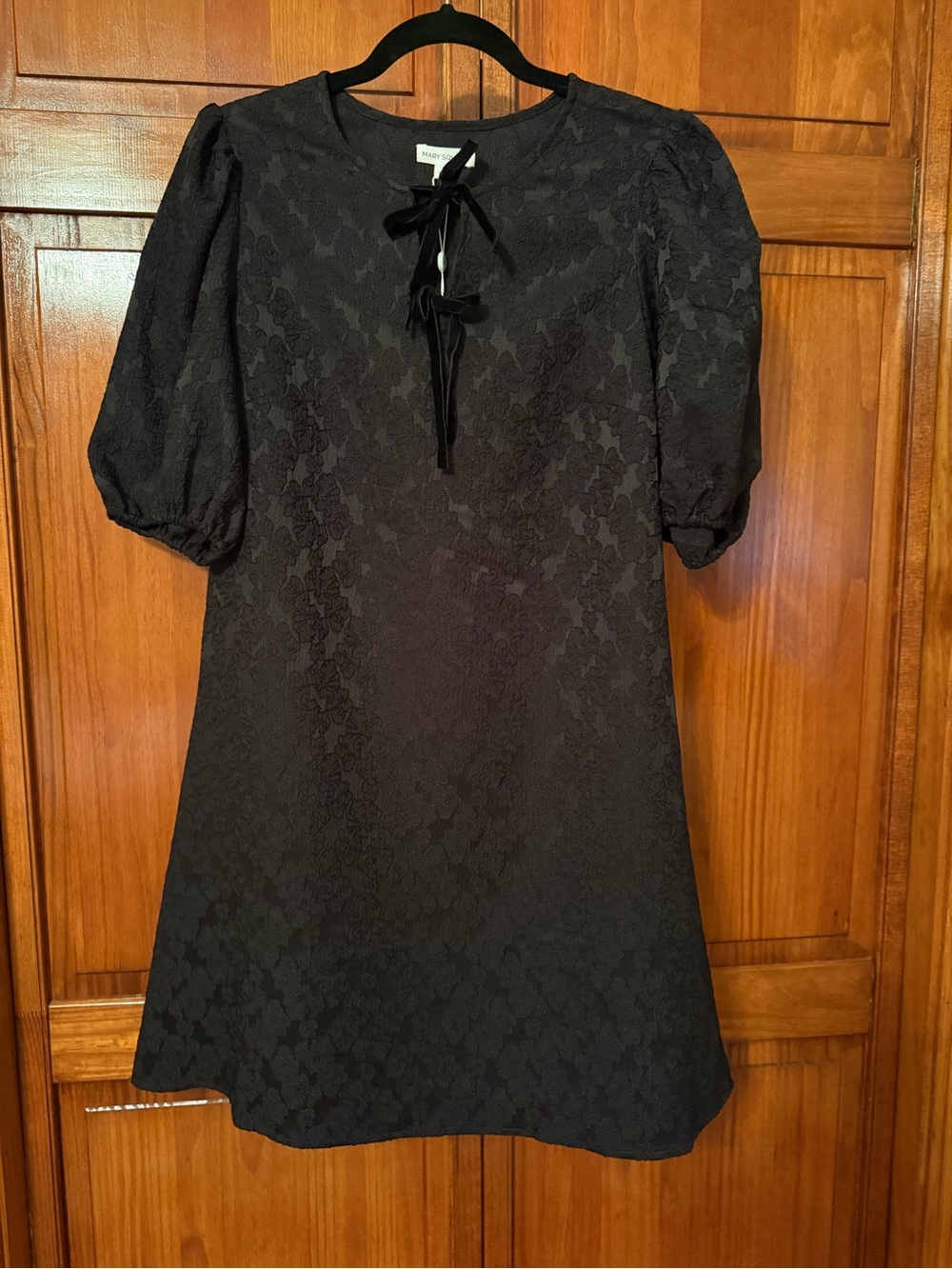 Mary Square Lana Dress
Black Lace Puff-Sleeve A-Line Dress with Tie Neck - Picture 5 of 7